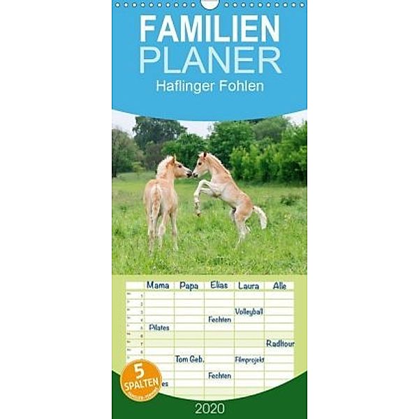 Haflinger Fohlen - Familienplaner hoch (Wandkalender 2020 , 21 cm x 45 cm, hoch), Katho Menden