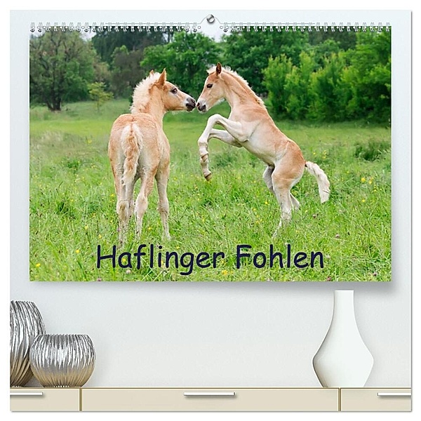 Haflinger Fohlen (hochwertiger Premium Wandkalender 2024 DIN A2 quer), Kunstdruck in Hochglanz, Katho Menden