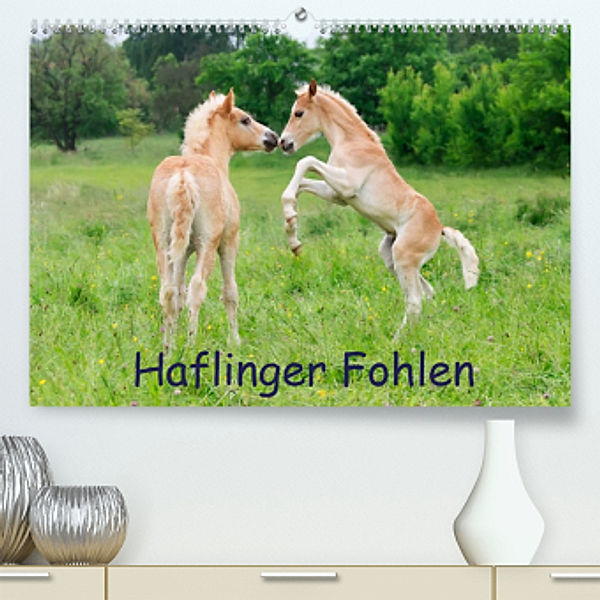 Haflinger Fohlen (Premium, hochwertiger DIN A2 Wandkalender 2022, Kunstdruck in Hochglanz), Katho Menden