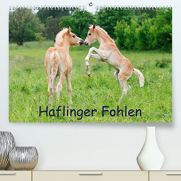 Haflinger Fohlen (Premium, hochwertiger DIN A2 Wandkalender 2023, Kunstdruck in Hochglanz), Katho Menden