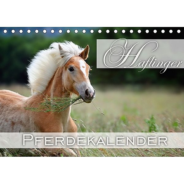 Haflinger / Geburtstagskalender (Tischkalender 2018 DIN A5 quer), Nicole Noack