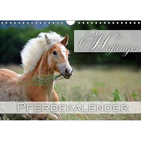 Haflinger / Geburtstagskalender (Wandkalender 2017 DIN A4 quer), Nicole Noack