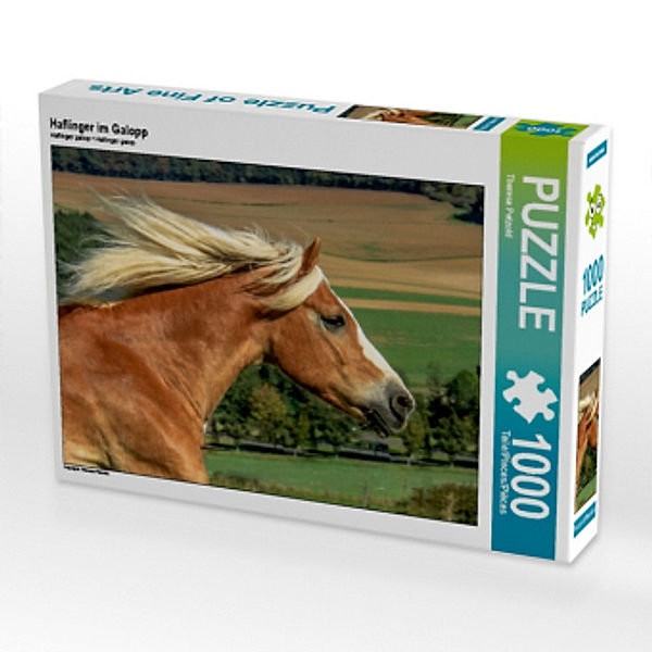 Haflinger im Galopp (Puzzle), Theresa Petzold