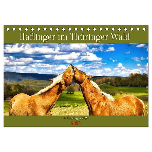 Haflinger im Thüringer Wald (Tischkalender 2025 DIN A5 quer), CALVENDO Monatskalender, Calvendo, Torsten Irmer