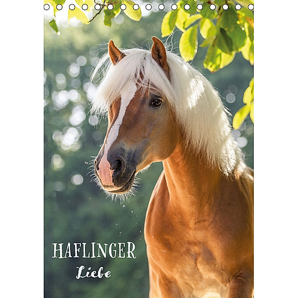 Haflinger Liebe (Tischkalender 2019 DIN A5 hoch), Cécile Zahorka