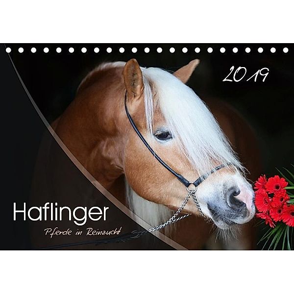 Haflinger-Pferde in Reinzucht (Tischkalender 2019 DIN A5 quer), Natural-Golden. de