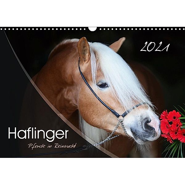 Haflinger-Pferde in Reinzucht (Wandkalender 2021 DIN A3 quer), Natural-Golden.de