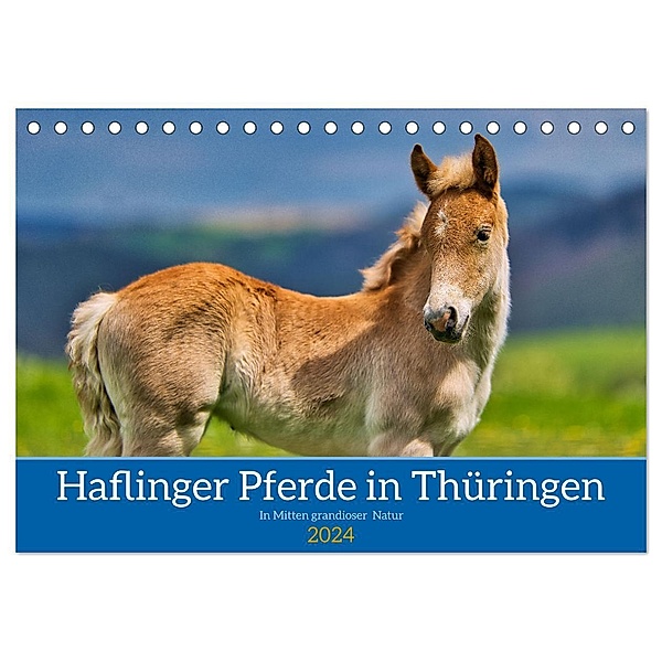 Haflinger Pferde in Thüringen (Tischkalender 2024 DIN A5 quer), CALVENDO Monatskalender, Calvendo, Torsten Irmer