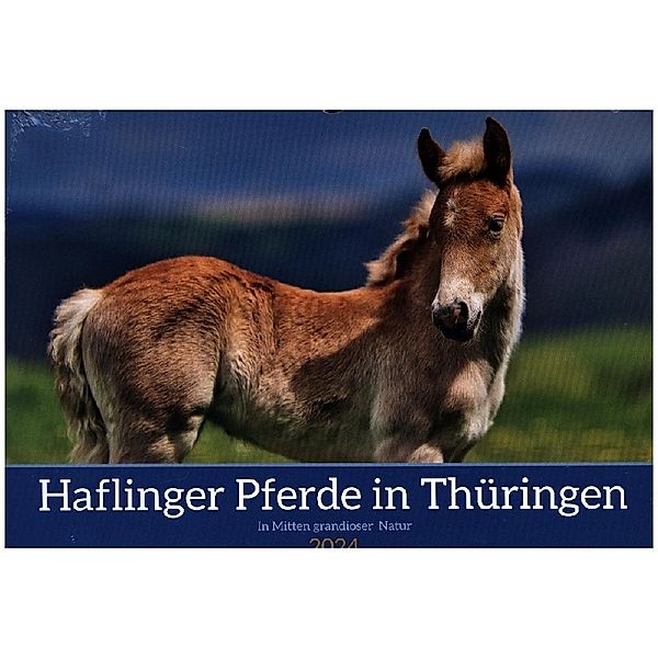 Haflinger Pferde in Thüringen (Wandkalender 2024 DIN A4 quer), CALVENDO Monatskalender, Calvendo, Torsten Irmer