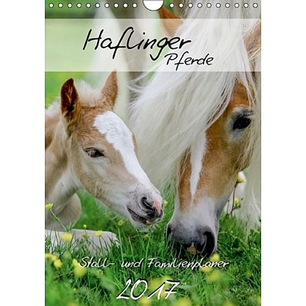 Haflinger Pferde - Stall- und Familienplaner 2017 (Wandkalender 2017 DIN A4 hoch), Natural-Golden.de