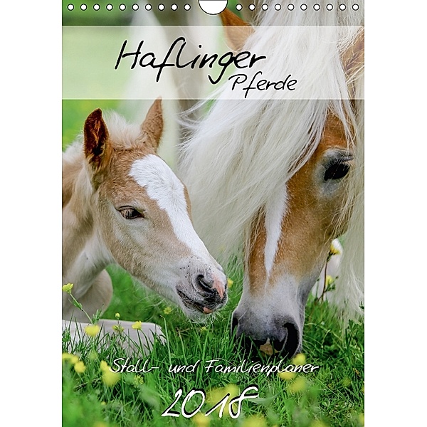 Haflinger Pferde - Stall- und Familienplaner 2018 (Wandkalender 2018 DIN A4 hoch) Dieser erfolgreiche Kalender wurde die, Natural-Golden.de