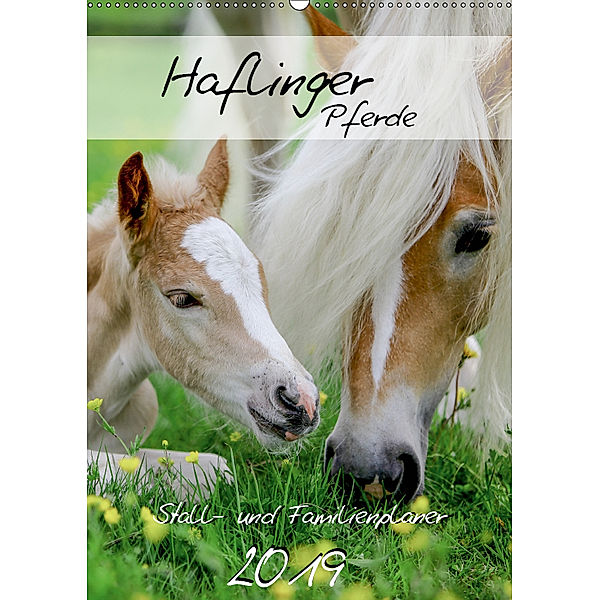 Haflinger Pferde - Stall- und Familienplaner 2019 (Wandkalender 2019 DIN A2 hoch), Natural-Golden. de