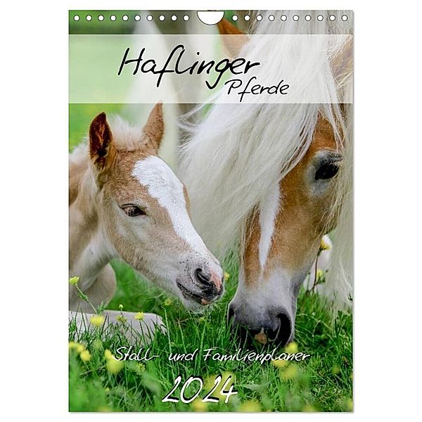 Haflinger Pferde - Stall- und Familienplaner 2024 (Wandkalender 2024 DIN A4 hoch), CALVENDO Monatskalender, Natural-Golden.de