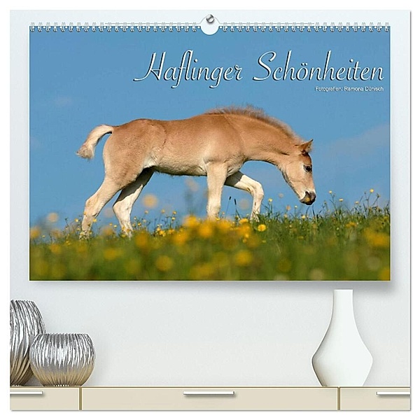Haflinger Schönheiten (hochwertiger Premium Wandkalender 2024 DIN A2 quer), Kunstdruck in Hochglanz, Ramona Dünisch - www.Ramona-Duenisch.de