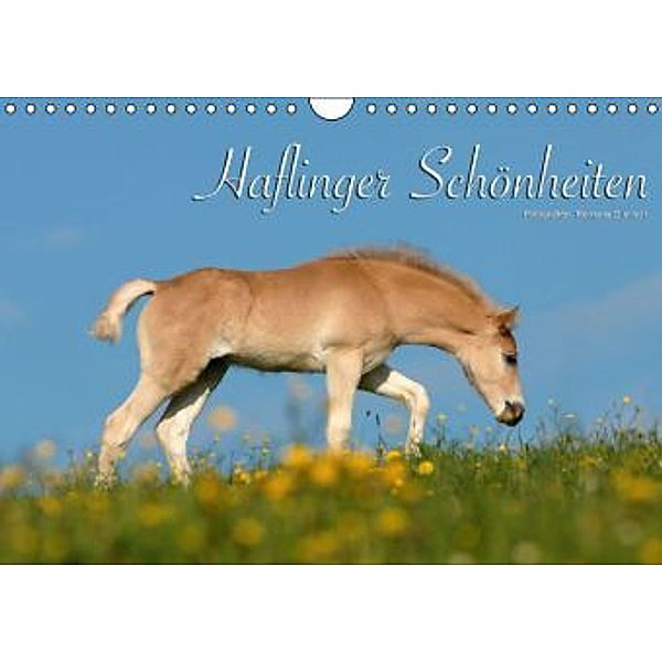 Haflinger Schönheiten (Wandkalender 2015 DIN A4 quer), Ramona Dünisch