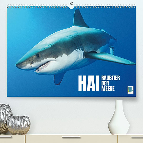 Hai: Raubtier der Meere (Premium, hochwertiger DIN A2 Wandkalender 2023, Kunstdruck in Hochglanz), Calvendo