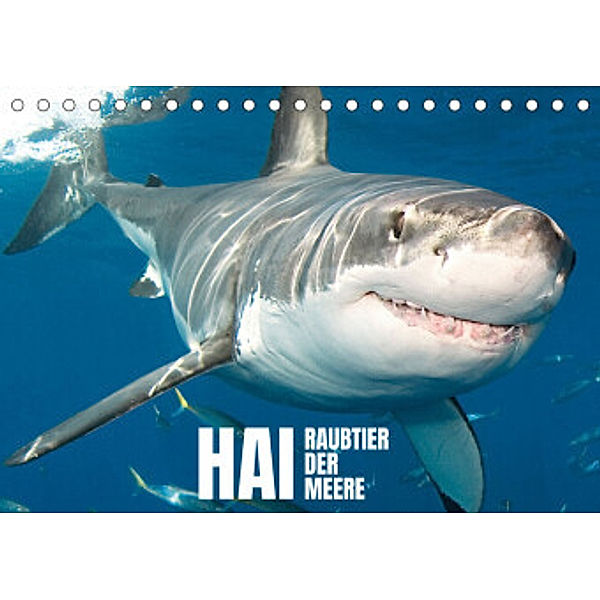 Hai: Raubtier der Meere (Tischkalender 2022 DIN A5 quer), Calvendo