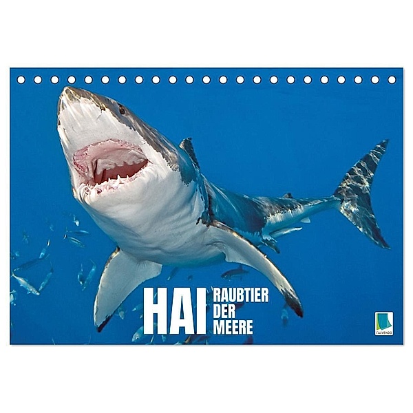 Hai: Raubtier der Meere (Tischkalender 2024 DIN A5 quer), CALVENDO Monatskalender, Calvendo