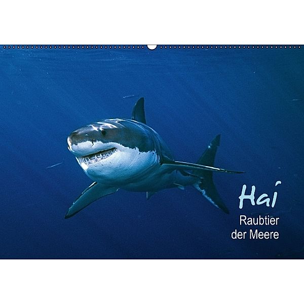 Hai - Raubtier der Meere (Wandkalender 2014 DIN A2 quer)