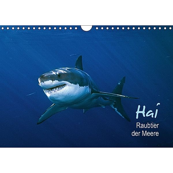 Hai - Raubtier der Meere (Wandkalender 2014 DIN A4 quer)