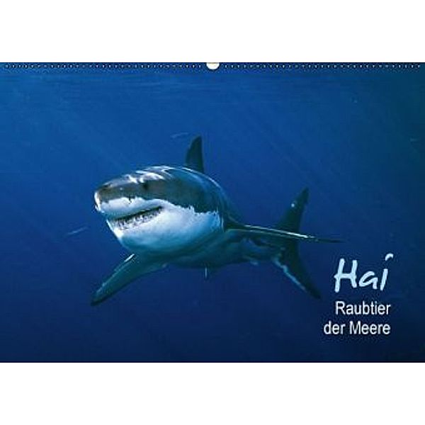 Hai Raubtier der Meere (Wandkalender 2015 DIN A2 quer), Calvendo