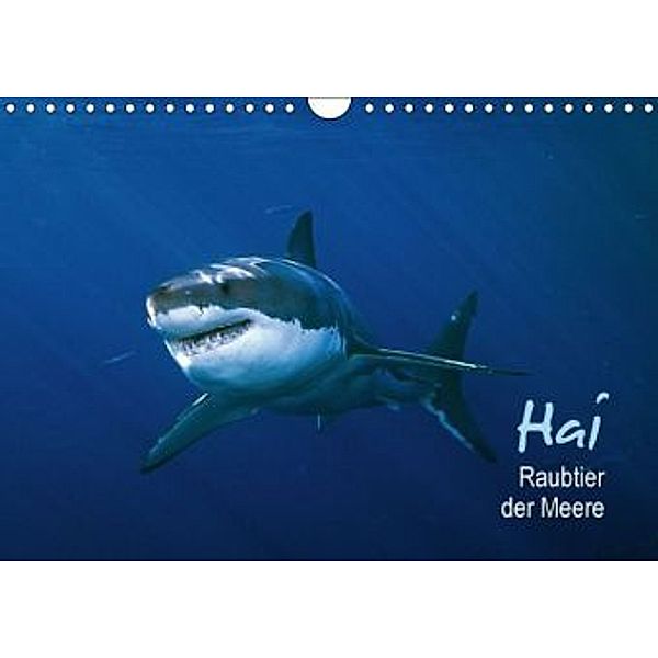 Hai Raubtier der Meere (Wandkalender 2015 DIN A4 quer), Calvendo
