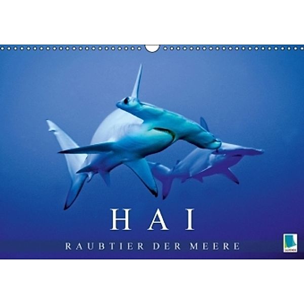 Hai: Raubtier der Meere (Wandkalender 2016 DIN A3 quer), Calvendo