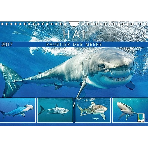 Hai: Raubtier der Meere (Wandkalender 2017 DIN A4 quer), Calvendo