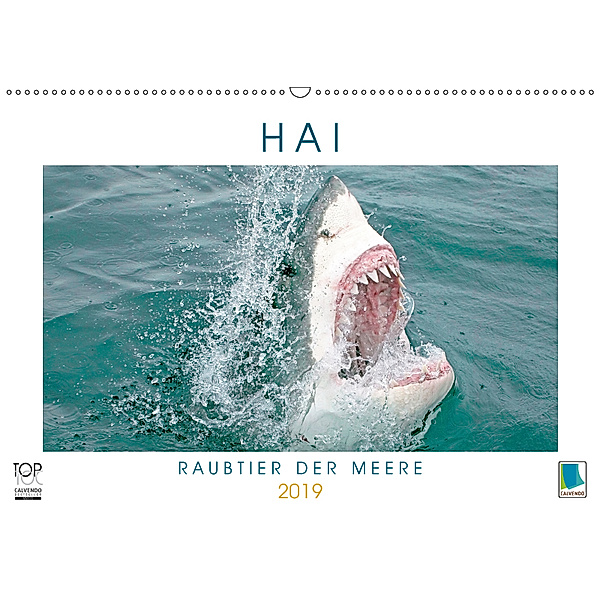 Hai: Raubtier der Meere (Wandkalender 2019 DIN A2 quer), Calvendo