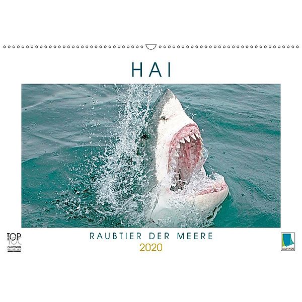 Hai: Raubtier der Meere (Wandkalender 2020 DIN A2 quer)