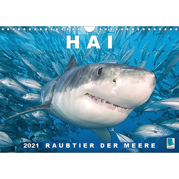 Hai: Raubtier der Meere (Wandkalender 2021 DIN A4 quer), Calvendo