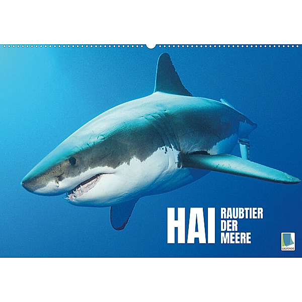 Hai: Raubtier der Meere (Wandkalender 2023 DIN A2 quer), Calvendo