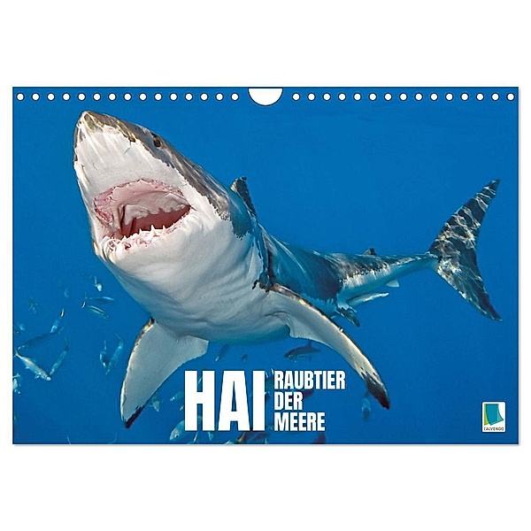 Hai: Raubtier der Meere (Wandkalender 2024 DIN A4 quer), CALVENDO Monatskalender, Calvendo