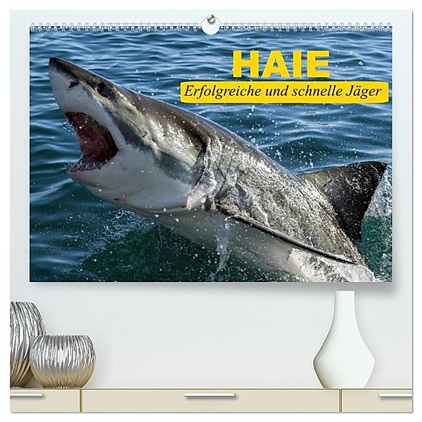 Haie. Erfolgreiche und schnelle Jäger (hochwertiger Premium Wandkalender 2024 DIN A2 quer), Kunstdruck in Hochglanz, Elisabeth Stanzer