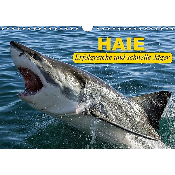 Haie. Erfolgreiche und schnelle Jäger (Wandkalender 2021 DIN A4 quer), Elisabeth Stanzer
