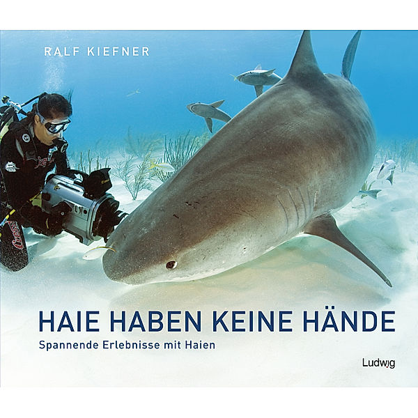 Haie haben keine Hände - Spannende Erlebnisse mit Haien, Ralf Kiefner