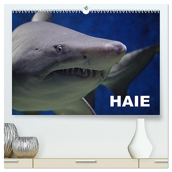 Haie (hochwertiger Premium Wandkalender 2024 DIN A2 quer), Kunstdruck in Hochglanz, Elisabeth Stanzer