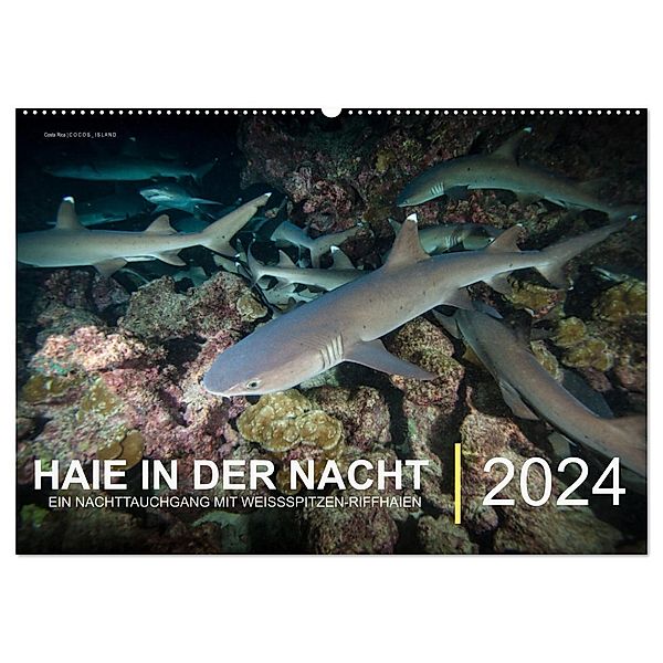 Haie in der Nacht (Wandkalender 2024 DIN A2 quer), CALVENDO Monatskalender, Christian Hubo - feel4nature