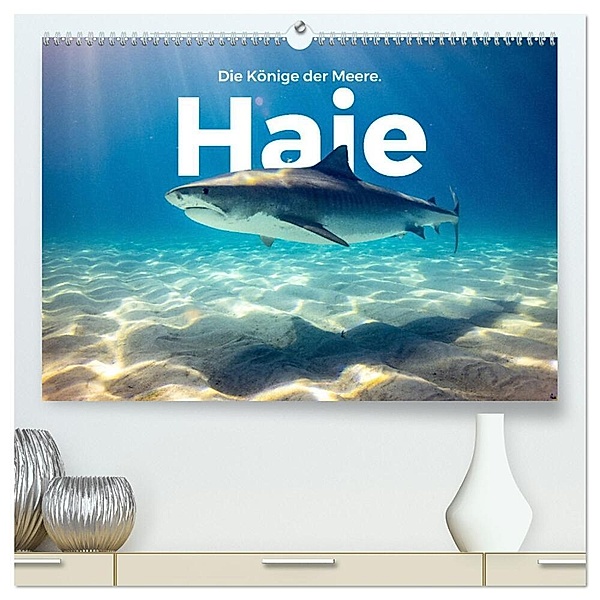 Haie - Könige der Meere. (hochwertiger Premium Wandkalender 2024 DIN A2 quer), Kunstdruck in Hochglanz, M. Scott