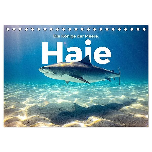 Haie - Könige der Meere. (Tischkalender 2024 DIN A5 quer), CALVENDO Monatskalender, M. Scott