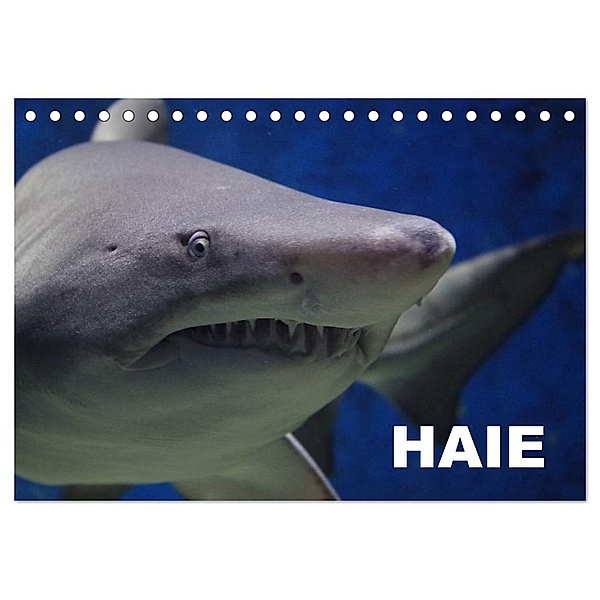 Haie (Tischkalender 2024 DIN A5 quer), CALVENDO Monatskalender, Elisabeth Stanzer