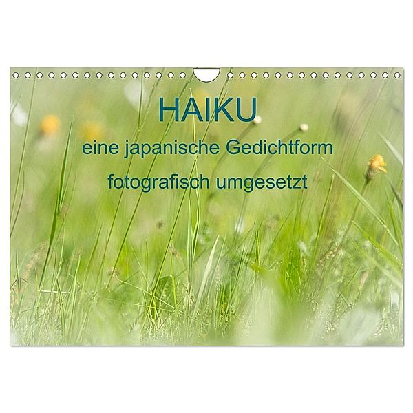 HAIKU, eine fotografische Interpretation (Wandkalender 2024 DIN A4 quer), CALVENDO Monatskalender, MSchelken