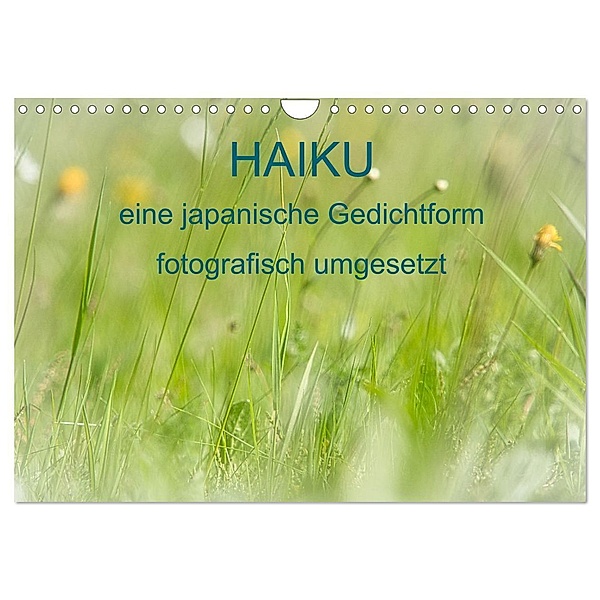 HAIKU, eine fotografische Interpretation (Wandkalender 2025 DIN A4 quer), CALVENDO Monatskalender, Calvendo, MSchelken