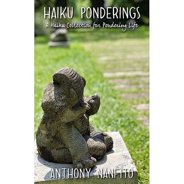 Haiku Ponderings, Anthony Nanfito