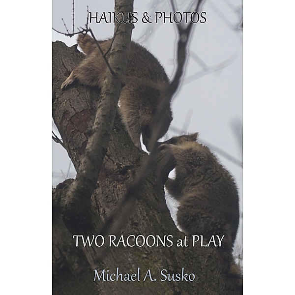 Haikus and Photos: Two Racoons at Play (Nature Haikus & Photos, #3) / Nature Haikus & Photos, Michael A. Susko