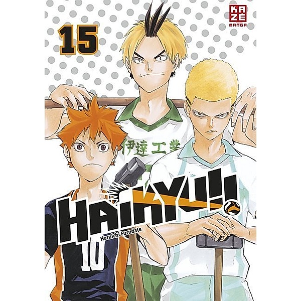 Haikyu!! Bd.15, Haruichi Furudate