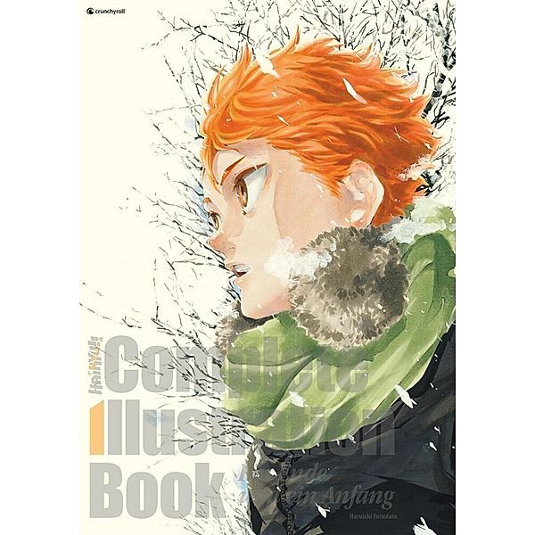 Haikyu!! Complete Illustration Book - Ein Ende und ein Anfang, Haruichi Furudate