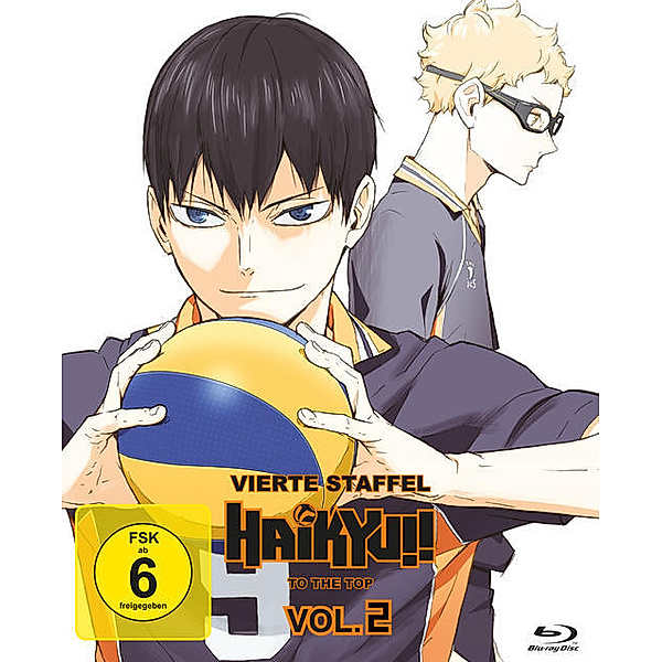 Haikyu!!: To the Top - Staffel 4 - Vol. 2, Masako Satou