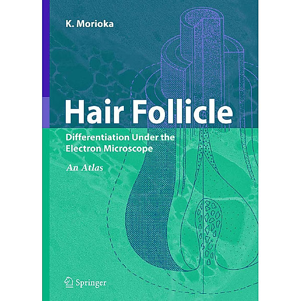 Hair Follicle, K. Morioka
