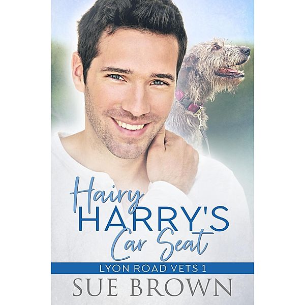 Hairy Harry's Car Seat (Lyon Road Vets, #1) / Lyon Road Vets, Sue Brown